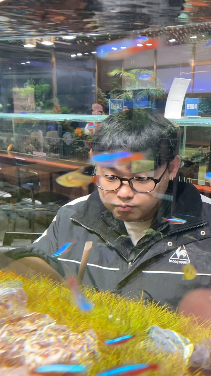 🐠🐠🫧 광주 실내데이트 추천 
광주 수완지구 이색테마카페 아쿠아타임 

📍광주 광산구 임방울대로332번길 9-12
수완지구에 위치한 수족관카페 아쿠아타임의 영롱함에 퐁당

#광주#광주카페#광주데이트#광주커플#광주실내데이트#수완#수완지구카페#수족관카페#수족관#테마카페#이색데이트#광주이색카페#광주아이와가볼만한곳#광주맛집#광주여행#광주물멍#광주아쿠아타임#수완아쿠아타임#아쿠아타임#물고기카페