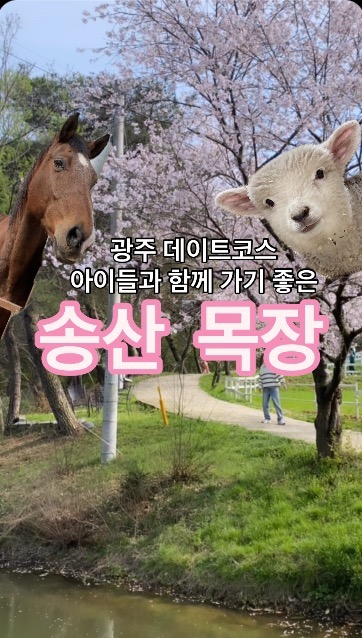 광주 근교 ❌ 광주 ⭕
광주에도 이런 자연 가득 양이랑 말을 볼 수 있다고?!!

아이들이랑 가기에도, 반려견, 남자친구랑 여자친구랑 가기에도 좋은 곳
광주 광역시 광산구 지평동에 위치한 송산목장
승마체험도 가능, 토끼,양,말, 물고기까지 볼 수 있고 먹이주기 체험도 가능 :)

📍 광주 광산구 가삼안길 69-100 송산목장 / 광주 광산구 지평동 314-3
​⏱ 영업시간 매일 09:00-18:00 / 월요일 정기휴무
​✔ 넓은 주차장 보유 / 반려동물 동반 가능 (소형견, 목줄과 배변봉투 지참)

@ 태그하고 같이 가자~