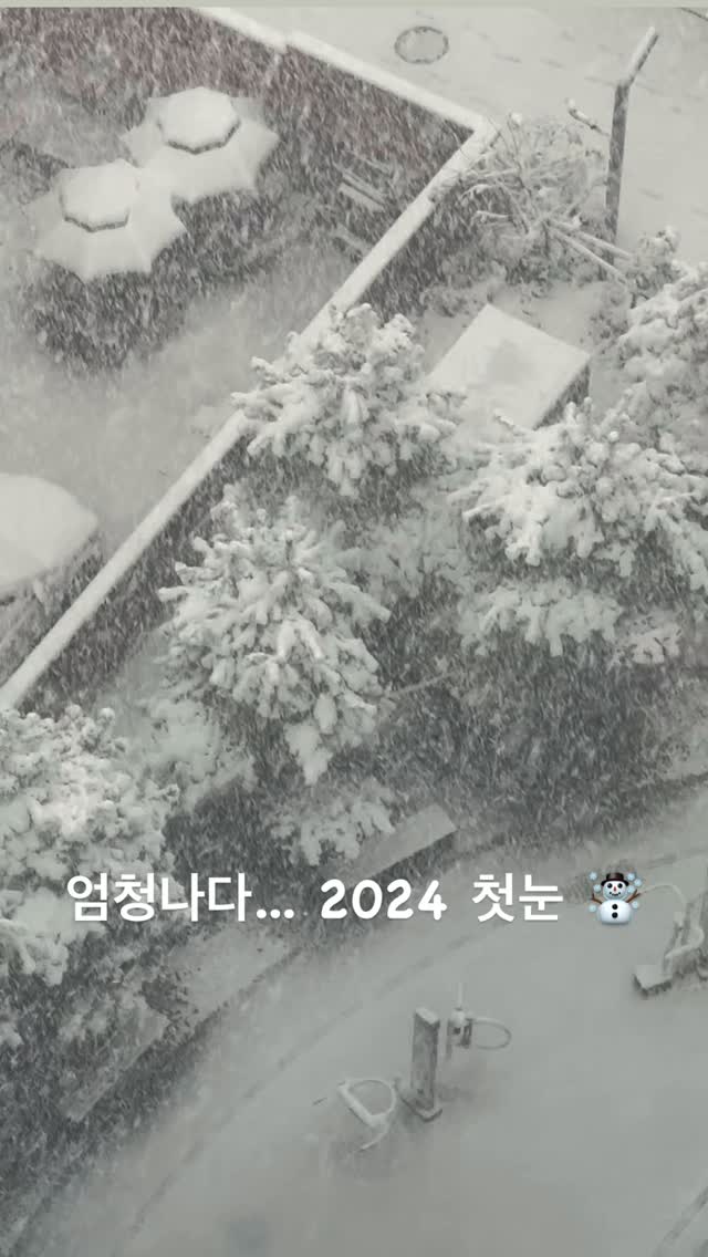 콘텐츠