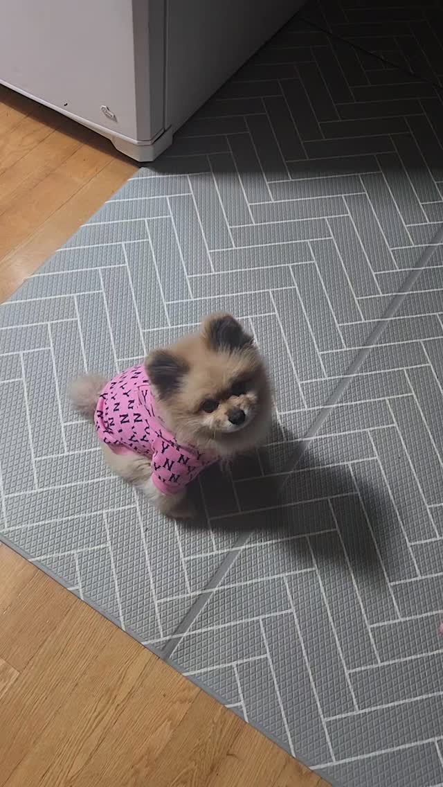 마트가려고  아빠기다리는 아들
같이가고싶은 카스
니들만 가냐~~~~
