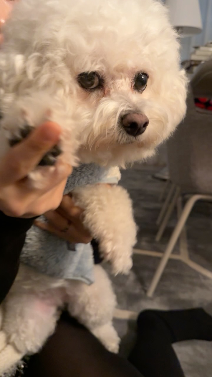 _#갠찮아챌린지
칸쵸가 화내거 못하겠다ㅠ..