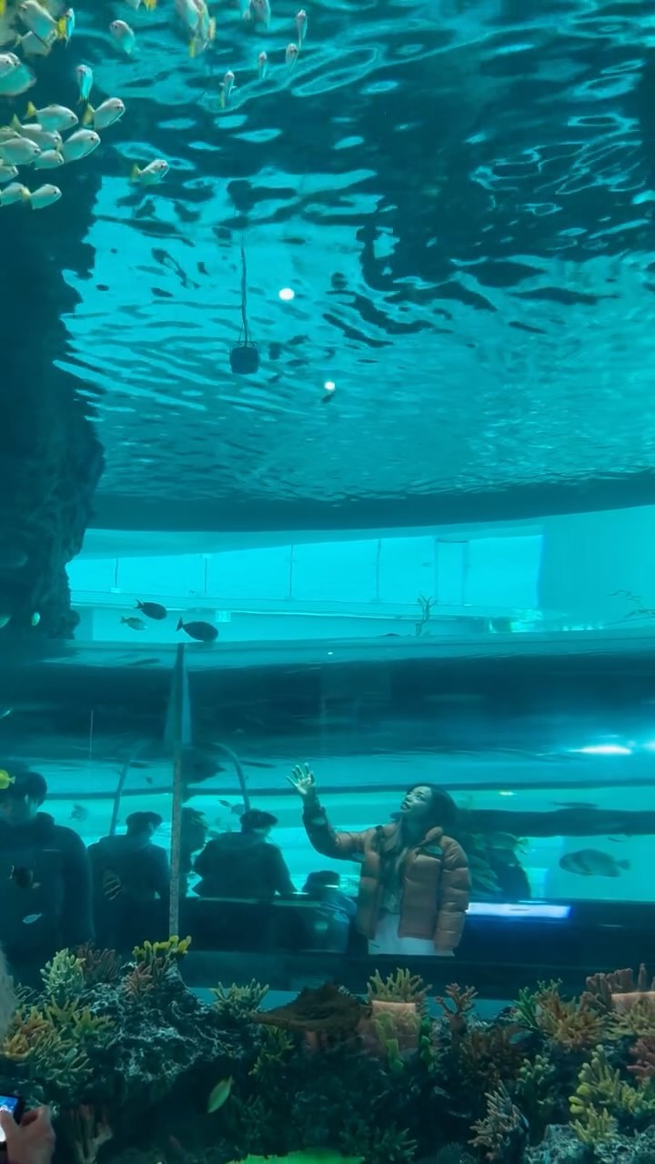 대대대 만족한 #국립해양박물관 🐋
무료인데 퀄리티 무엇?!!!!👍
가족들 연인들 가면 너무 좋을것 같아 추천합니닷! 
.
.
위치 : 부산 영도구 해양로301번길 45 국립해양박물관
주차 : 2000원 
푸드코트있음, 카페 4층에 더리터 있음
.
.
#부산 #영도 #영도해양박물관 #국립해양박물관 
#부산가볼만한곳 #무료체험 #무료관람 #무료아쿠아리움 🐠