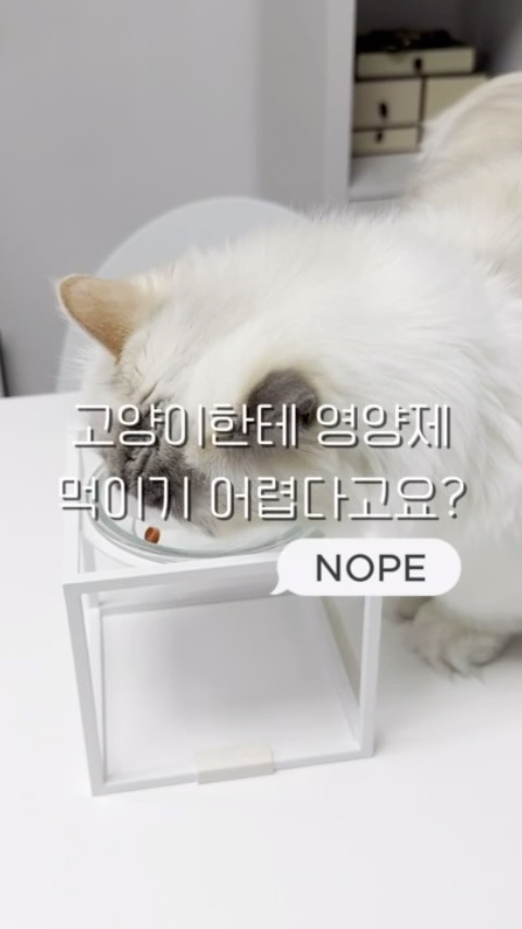 #협찬  강아지 & 고양이 관절 건강, 꾸준한 관리가 중요해요! 🦴✨ ”우리 애기는 아직 어려서 괜찮겠지?“라고 생각하셨다면 
NO! 🚫 
@antinol.kr

강아지는 슬개골 탈구, 
고양이는 관절 통증을 숨기는 습성이 있어서 보호자의 세심한 관리가 필요해요! 💡

🧐 그래서 준비한 #안티놀래피드!
 ✅ 2~3개월령 아이부터 급여 가능! ✅ 100% 천연 성분! 부작용 걱정 없이 휴지기 없이 급여 가능! ✅ 기호성 100% ✨ 레베카도 할짝할짝 맛있게 먹고 있어요! 😻 ✅ 초소형 키블이라 아이들이 쉽게 삼켜요! ✅ 전 세계 수의사들이 추천하는 관절 영양제! 🌎

🐾 관절 건강, 한 살이라도 어릴 때부터 관리해야 하는 이유! 📌 강아지: 슬개골 탈구, 관절염 예방 필수! 📌 고양이: 아파도 내색하지 않는 야생성 때문에 조기 관리 필수! 📌 꾸준한 급여가 핵심! 처음 2주간은 권장량의 2배를 급여하면 더욱 효과적!

🎬 강아지 & 고양이 모두 잘 먹고, 꾸준히 먹을 수 있는 영양제! 📢 단, 갑각류 알러지가 있는 아이들은 급여 전 주의가 필요해요!

📍 집사님들의 반려동물도 건강한 관절을 위해 #안티놀 시작해보세요! 🏷️ @antinol.kr 

🐶🐱 우리 아이도 먹고 있다면 댓글로 공유해 주세요! 💬

📝 오늘의 집사일지는 관절영양제였어요. 
💕 달나라동숙이네 집사일지는 계속됩니다! 
💬 도움이 되셨나요?
💌 좋아요로 응원해주세요
👉 미리 고맙습니다 

@dalnaradongsookine
@dalnaradongsookine
@dalnaradongsookine
 #안티놀 #안티놀래피드 #설채현 #강아지영양제 #강아지관절영양제 #고양이영양제 #강아지슬개골 #고양이관절관리 #집사필수템 #강아지필수템 #관절영양제