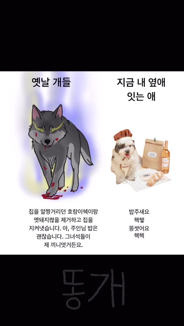 전 아무것도 몰라오 헥헹🙄

#강아지짤

@ttong._.gae