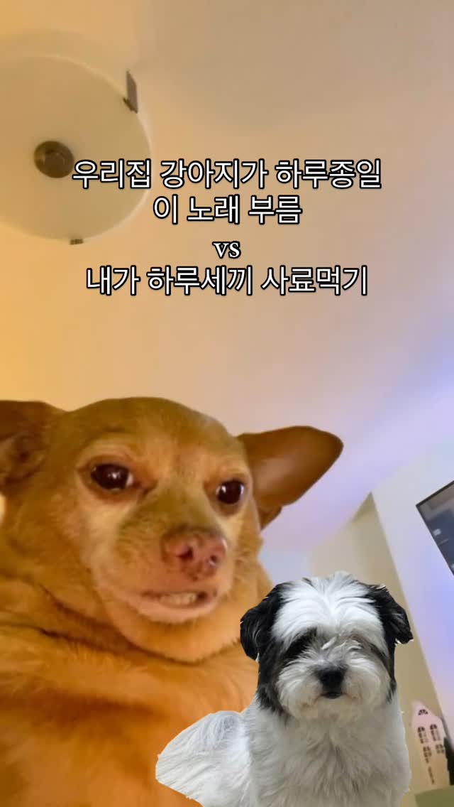 투표중입니다🔥