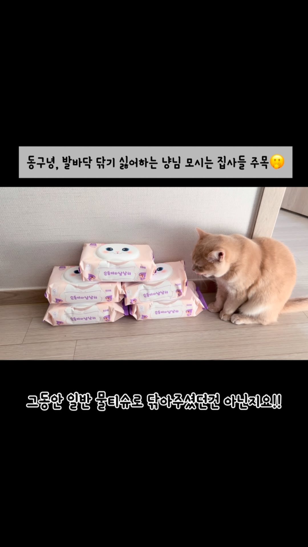 #협찬 @soondoongi_pet 

순둥이 고양이 전용 물티슈 사용 후기 🐾

⠀
반려묘 전용 제품이 아니면 사용하기 걱정되는 물티슈! 이번에 순둥이 고양이 전용 물티슈 체험단에 참여하게 되어 직접 사용해보았습니다.
⠀
✔ 고양이 피부에 안전한 순한 성분
개다래 추출물이 함유되어 있어 고양이의 정서 안정에 도움을 주고, 피부 저자극 케어가 가능했습니다.
⠀
✔ 진짜 중성 물티슈로 안심 사용
고양이 피부는 사람보다 훨씬 약한데, 일반 영유아용 물티슈를 사용하면 산도 차이로 인해 자극이 될 수 있다고 합니다. 🥲
그러나 순둥이 물티슈는 고양이 피부에 적합한 중성 pH로 만들어져 안심하고 사용할 수 있었어요!
⠀
✔ 필요한 순간마다 간편하게 사용 가능
•눈물 자국, 턱드름, 입 주변, 귀 세정이 필요할 때
•엉덩이나 발바닥을 닦아줘야 할 때
반려묘를 닦아줘야하는 다양한 상황에서 간편하게 활용할 수 있었어요❤️
	
⠀
🐾 새루도 사용 후 거부감 없이 편안해하는 모습이었어요. 😊
반려묘의 피부 건강을 생각하는 집사분들께 적극 추천합니다.
.
.
.
.
.
.
#냥팔맞팔 #냥스타그램 #고양이 #펫스타그램 #브리티쉬숏헤어 #캣스타그램 #cat #catlover #순둥이물티슈 #순둥이 #고양이물티슈 #중성물티슈