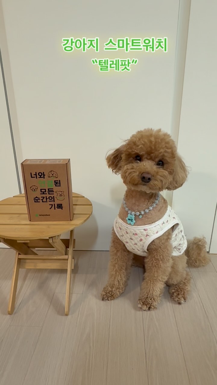 #협찬
🐶바르가 강아지 스마트워치 텔레팟을 체험해봤오🐶

친구들아 강아지 스마트워치 들어봤니?🐶
바르가 이번에 강아지 스마트워치 텔레팟을 소개해줄게😊
텔레파시(telepodsee)는 반려견의 기분이나 행동, 상태를 멀리 있는 가족에게 전달한다는 의미로, 행동데이터를 수집하는 디바이스 텔레팟(telepod)과 반려견을 살펴본다는 의미의 see가 결합된 이름이야

💛 8.4g으로 가볍고 착용감이 편안해서 매일 착용해도 불편함을 느끼지 않아
💛 앱에서 가족초대를 하면 기록을 공유하고 함께 돌보기도 가능해
💛 KC 인증으로 안전하고 하루종일 착용해도 전자파 걱정 제로
💛 한번 충전으로 최장 10일 사용
💛 산책서비스 기능
-산책 자동감지:  산책 기록을 하지 않아도 휴대폰GPS가 텔레팟과 연결되어 산책을 자동으로 감지
-산책시간 카운팅: 산책으로 집을 나가면 5분안에 산책탭에 리포팅되고 실시간으로 루트와 시간을 반영
-산책 소모 칼로리 확인: 산책으로 총 몇칼로리를 소모했는지 알수 있음
-함께 산책한 사람 감지:초대한 가족을 포함해서 오늘 누구와 어떻게 산책했는지 공유할수 있음
-월간 산책횟수, 시간, 거리 활동 칼로리 기록
💛 수면중 움직임 뒤척임 확인 가능
💛 초단위 행동감지 기술로 기록되어 데이터화

바르는 매일 텔레팟을 평소하던 목걸이에 같이 착용하고 다녔는데 무게가 가벼워서 부담없이 착용하고 다녔어😆
한번 충전하면 10일 정도 사용가능해서 번거롭지도 않고 초단위로 바르의 행동이 분석되는게 너무 신기하더라구:)
그날그날 활동량과 수면을 보고 체계적으로 건강관리를 할수가 있어서 도움이 많이 되었어👍🏻
네이버에 텔레팟을 검색하면 관련 제품을 확인이 가능하니까 많이 검색해봐💖

#텔레파시 #텔레팟 #강아지스마트워치 #강아지산책 #반려견스마트워치 #반려견산책 #강아지육아 #강아지그램 #강아지일상 #강아지용품 #강아지인식표 #반려견일상 #반려견스타그램 #강아지 #반려견
