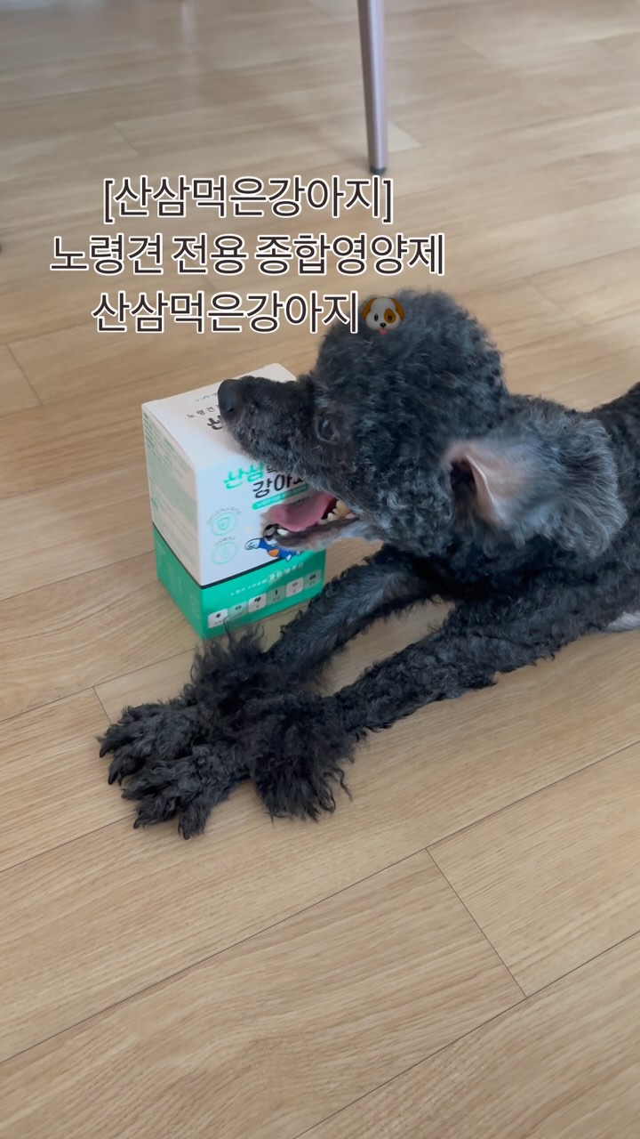 #협찬
#광고

✨[산삼먹은강아지] 노령견 전용 종합영양제 산삼먹은강아지
✨우리 아이에게 적합 한 종합비타민
✨이런 아이들에게 꼭 필요해요!
식욕부진, 무기력증, 활력이 떨어진 아이
나이가 많아 활동성이 눈에 띄게 줄어든 아이
관절에 무리가 많아 슬개골 건강이 필요한 아이
면역력이 떨어져 알레르기, 탈모가 발생한 아이
질병(수술) 치료 후 빠른 회복을 원하는 아이
눈물 자국이 심한 아이
눈이 뿌옇게 흐려지기 시작한 아이
자주 토하거나 장이 예민한 아이
피부염, 구내염 등 염증성 질환이 반복되는 아이
기침이 잦아진 아이
.
.
#광고#강아지영양제# 강아지종합영양제# 강아지유산균# 강아지오메가3# 강아지비타민# 강아지심장영양제# 강아지관절영양제# 강아지슬개골영양제# 강아지기침# 강아지눈물# 강아지눈영양제# 강아지피부영양제# 노령견영양제# 노견영양제# 강아지면역력# 강아지항산화# 강아지프리바이오틱스# 강아지장영양제#산삼먹은강아지