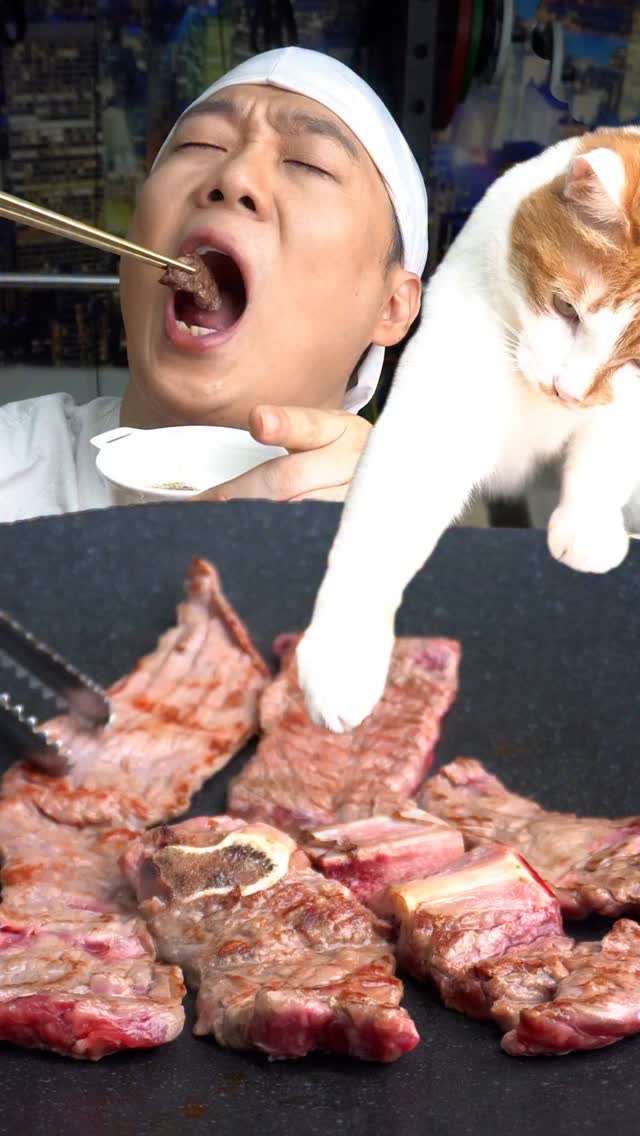 #광고 한우 갈비는 못참지!😻

그냥 구워도 양념해도 맛있는
#안동북문시장 한우갈비 밀키트

'롯데온' 에서 8월 중 할인 기획전 중 이니 한번 구경해보세요~

 https://lrl.kr/VPMD
@bukmoon_market

#funny #mukbang #cat #beef
#북문시장 #롯데온 #기획전