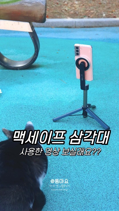 🏷맥세이프 블루투스 삼각대
갤럭시 유저인데
이번에 맥세이프 케이스와 충전기를 바꾸면서
맥세이프 삼각대가 있는지 검색해보니까
있어서 바로 구매함
당겨서 핸드폰 고정하는 삼각대에 살 찝혀보고
버튼 잘못 눌러본 적 있는 분들!
맥세이프 블루투스 삼각대 강추합니다!!
영상촬영 삶의 질이 향상되요!
리모컨 촬영도 인식 잘되는데 리모컨도 자석임 ㅠ_ㅠ
너무 편해요!
덕분에 오늘 냥이들 영상은 리얼 생생함 그 자체임.
#길고양이사랑해주세요 #고양이는사랑입니다
#길고양이 #고양이귀여워 #고양이 #cats
#맥세이프