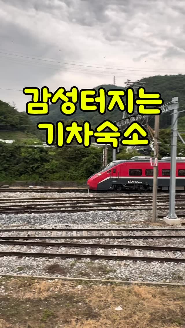 강원도 석항에 있는 숙소
실제 기차도 지나다니는 역앞에 위치
숙소도 실제 기차로 만든 숙소에요

강원도라 그런지 공기도 엄청 맑고
바베큐장부터 카페 쉴수있는 공간까지
마련되어있더라구요

이색적인 숙소 저장하시고
‘트레인’ 댓글 달아주시면 숙소
자세한 정보 알려드릴게요

#강원도여행 #이색숙소