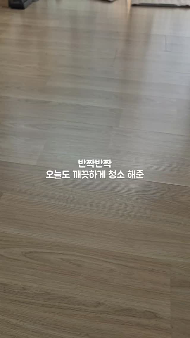 #협찬
🤍체험·협찬후기
@urbanpapa_official
"어반파파 울트라클린 로봇청소기세제"
-로봇청소기 내부의 찌든 때와 물때 제거에 도움
-바닥 얼룩 제거
-세척 후 얇은 보호막으로 재오염 방지
-99%탈취력으로 물걸레 쉰내 제거
-암모니아 탈취 테스트 완료
-로봇청소기 내부 배관 청소

협찬으로 받아본
어반파파 울트라클린 로봇청소기세제🤗
로봇청소기 물걸레 모드 자주 쓰면
물탱크나 배관에서 나는 냄새가
많이 신경 쓰이는데
물통에 한개 쏙 넣어주면
청소기 세정도 가능하고
깔끔하게 청소도 되어서 좋은☺️

(폰카메라로 찍은 실제와 비슷한 사진입니다)
#협찬#체험#체험후기#리뷰#솔직하게리뷰
#광고#어반파파#로봇청소기#세제
#로봇청소기세제#로청세제#로보락
#로보락세제#물탱크청소#걸레쉰내
#냄새제거#물걸레청소기
#로보락청소#바닥청소#삼성로봇청소기