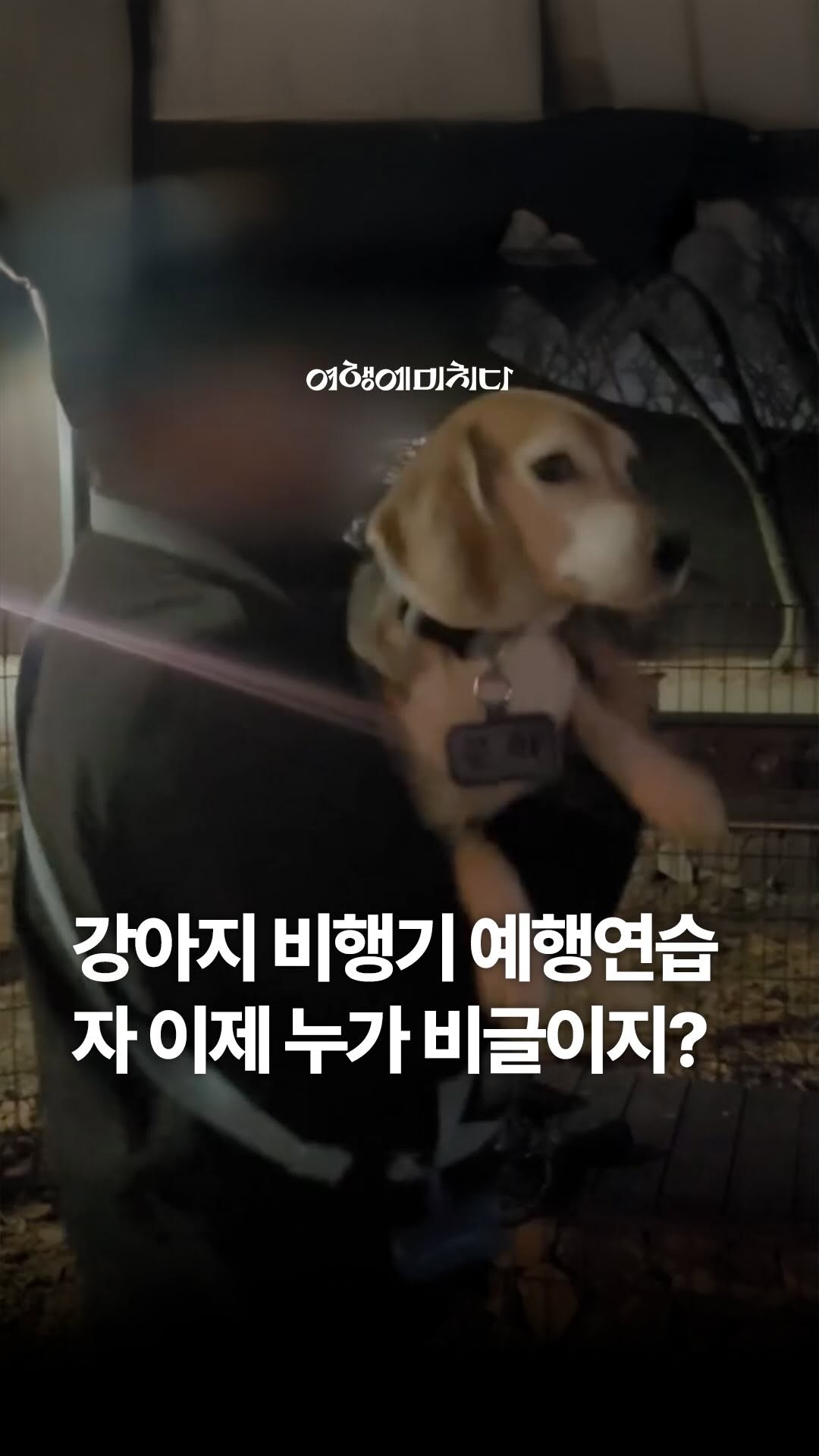 앞으로 강아지 비행기 탑승 연습은 이렇게 😊

주인이랑 떨어져서 외로운 시간을 보내야 하는
반려동물을 위해 예행 연습까지 하는 견주님 ㅋㅋㅋㅋㅋㅋ👏
영문도 모른 채 사정없이 흔들리는 댕댕이 🫨
너무 귀엽잖아 (人´_｀)♡
저 정도면 난기류도 아무렇지 않겠는 걸? 🐶

근데 진짜 웃긴 점은
제주도 가는 거였음…ㅋㅋㅋㅋㅋㅋㅋㅋ
난 10시간 가는 줄 알았잖아..🤭

일정 무게 이상 반려동물은
위탁 수하물로 보내야 한다는 규정 있는 거 알지?
아예 반려동물 동반 탑승이 불가능한 항공사도 있으니
가기 전 꼭 꼼꼼하게 확인하고 가기 ‼️

📸 악마견 아니고, 비글 양푼이입니다 @beagle_yangpoon

#여행에미치다 #여미_반려동물 #강아지
