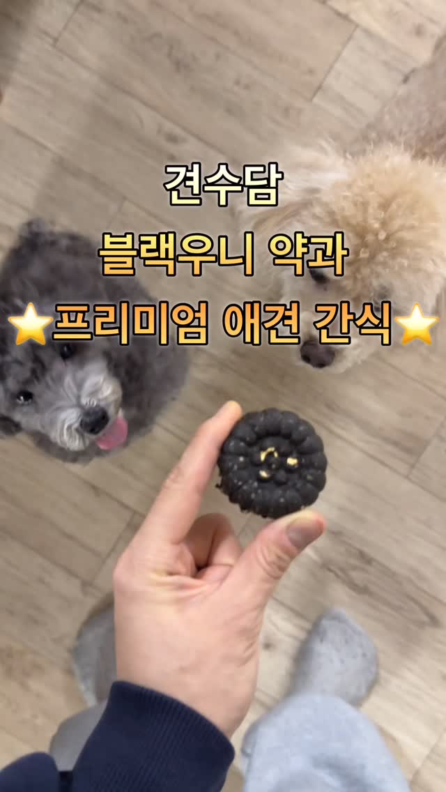 #광고

안뇽하세요! 뽈프에요!!
저는 토이푸들 두마리의 견주인데말이죠~~~
이번에 좋은 기회로 견수담의 프리미엄 애견간식
🐶블랙우니약과🐶를 소개해요!

시니어견을 위한 올인원 건강 케어 간식으로,
아래 4가지 핵심 케어 축을 중심으로 구성된 제품을 소개합니다!!

활력 증진 - 성게알(우니)
항산화 케어 - 아스타잔틴(헤마토코쿠스추출물), 비타민E
관절 영양 - 보스웰리아
장 건강 관리 - 프로바이오틱스

선물용으로 어울리는 프리미엄 간식이구요🖤
노즈워크 활용 가능한 간식이에요! 
약과 1개 = 소형견 기준 하루 권장량인데요!
바쁜 아침 찢어서 간식 세팅에 사용을 추천드려요🤩

 간식 하나로 간편한 건강 케어를 책입집니다🖤

#애견간식#강아지간식#견수담블랙우니약과견수담