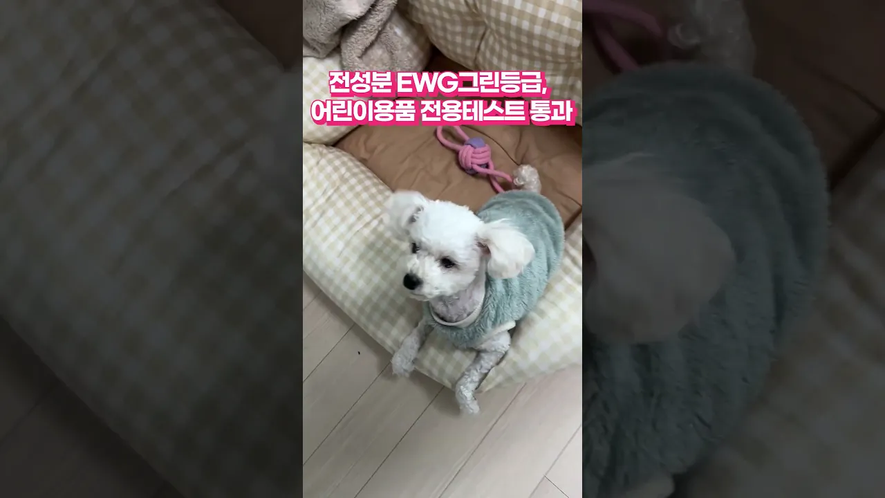 아기, 강아지 있는집도 안전! 냄새의 근원을 없애는 누븐 천연 탈취제추천!