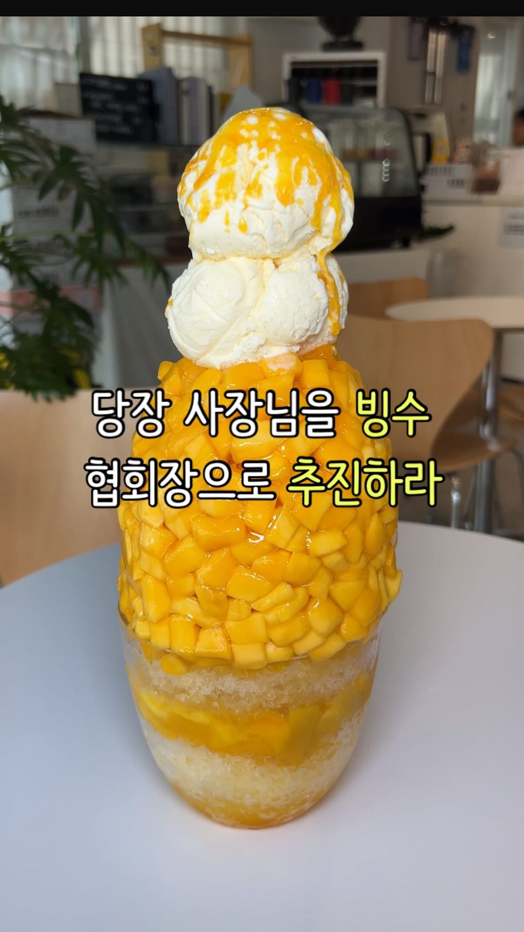 핫플 맛집이 더 궁금하시다면 팔로우👍🩵
당장 사장님을 전국 빙수 협회
협회장으로 추진해야하는
공릉 커피콩 다녀왔는데요?
망고가 냉동 아닌 전부 생망고이고
양이 진짜 ㅋㅋㅋ 너무 많아서
빙수먹다 밥 못 먹었네요;;
빙수는 14시 이후부터 주문가능👍
-
🛑#커피콩
🛑서울 노원구 동일로191가길 19
🛑공릉역 4번 출구에서 251m
🛑매일 10:00~21:00
(주말은 13:00부터)
-
핫플 맛집이 더 궁금하다면 팔로우👍🩵
@matpl_
@matpl_
@matpl_
#망고빙수맛집 #서울빙수 #서울빙수맛집 #빙수맛집추천
#공릉빙수