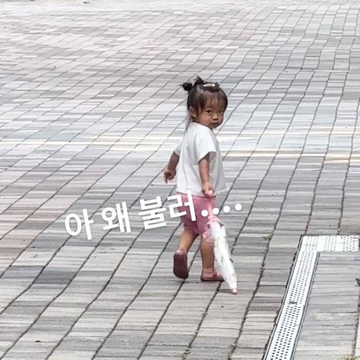 ✨ 보슬비가 내리는 날.
우산도 써보고, 비 맞으면서 놀이터에서 놀기.
아빠는 이해 못하지만, 엄마는 그냥 놀게 냅두는 🤣
(아빠 화난거 아닙니다 ㅋㅋㅋㅋ 갱상도남자)
더 놀고 싶어서 우산 냅두고 도망가는 것도 하찮다, 정말 ❣️
⠀⠀⠀⠀⠀⠀⠀⠀⠀⠀⠀⠀⠀⠀⠀⠀
⠀⠀⠀⠀⠀⠀⠀⠀⠀⠀⠀⠀⠀⠀⠀⠀
⠀⠀⠀⠀⠀⠀⠀⠀⠀⠀⠀⠀⠀⠀⠀⠀
/
#비오는날 #하원후놀이터 #21개월아기 #21개월딸
#워킹맘일상 #아기여워 #아기여워챌린지 #아기릴스 #개딸
