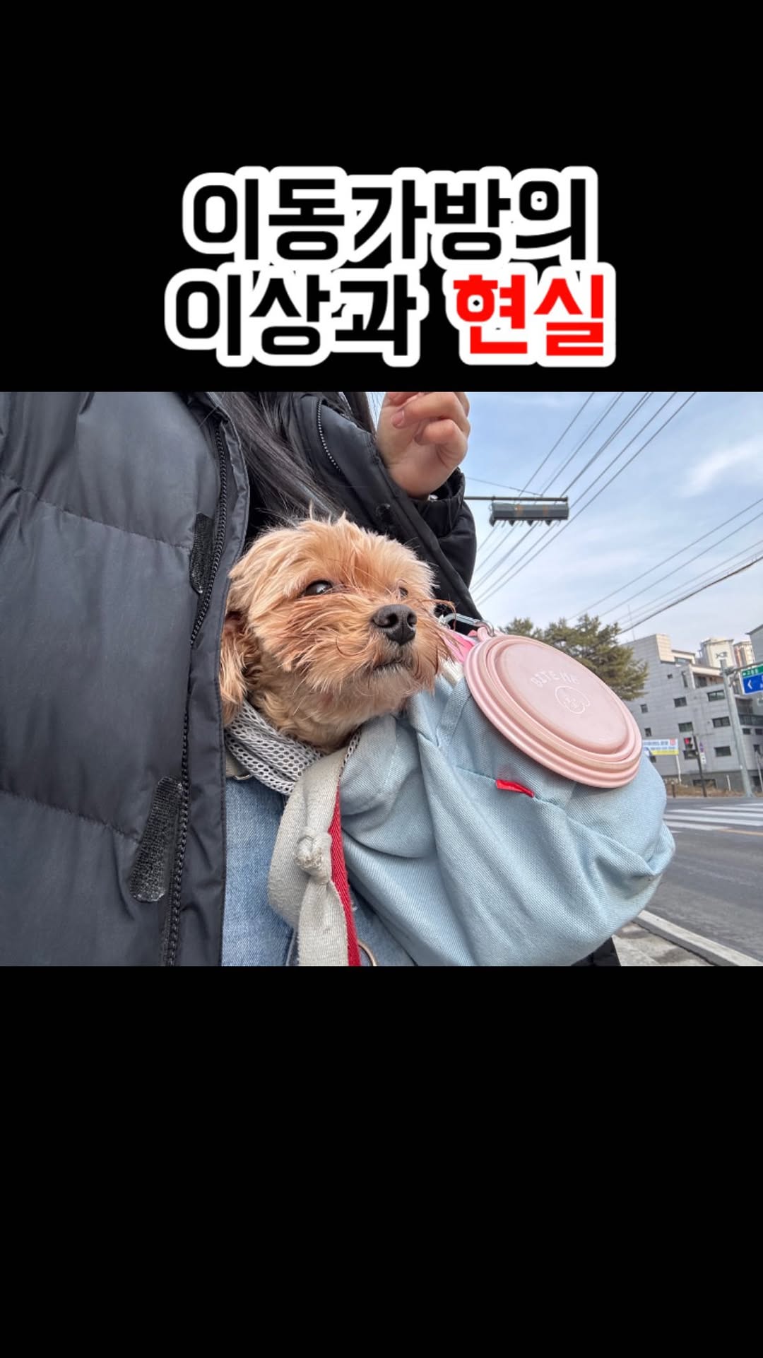 하 진짜 가지가지 입니다.
무슨 옛날 예능 벌칙 스타킹 얼굴 뒤집어쓰는거 하는줄;;;;