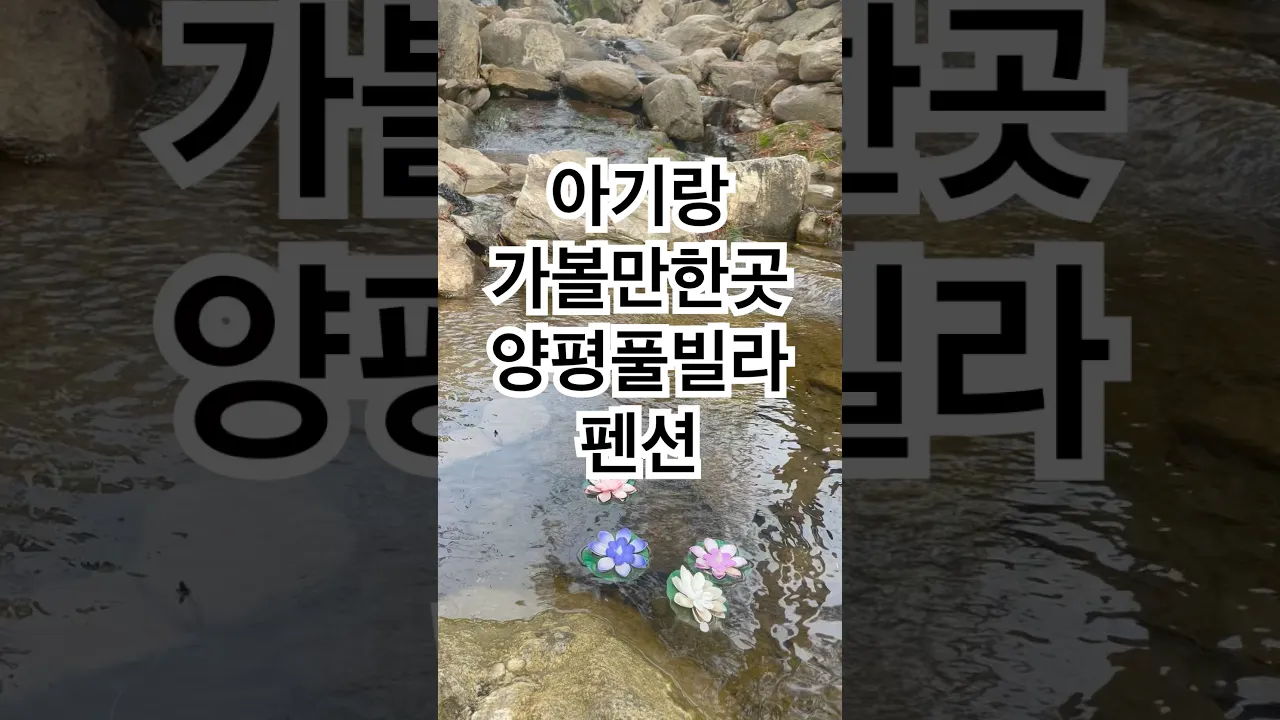 양평풀빌라펜션🩷초록밤펜션👍아기랑떠나보세요😍#광고 #양평 #양평풀빌라 #양평애견펜션 #여행 #kpop #아이브 #daily #브이로그 #travel #먹방#애견 #강아지 #쇼츠