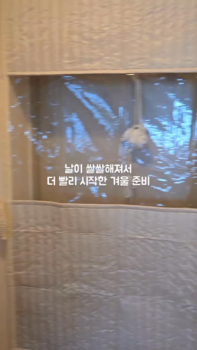#협찬
🤍체험.협찬후기
"밀스턴 깔깔이 방풍비닐 사이드형"
협찬이 되어 받아본
밀스턴 깔깔이 방풍비닐 사이드형🤗
겨울철 실내 한기와 난방비의
가장 큰 원인인 외풍을 차단해주고
단열효과도 좋아서
붙이자말자 집 온도가 따뜻하게 바뀐👍
벨크로를 이용해서 쉽게 설치가
가능하고 겨울마다 재사용이 가능해서
우리집 겨울 준비 따뜻하게 끝☺️
(폰카메라로 찍은 실제와 비슷한 사진입니다)
#광고#방풍비닐#단열뽁뽁이#단열커튼
#우풍차단#외풍차단#웃풍차단#외풍#우풍
#단열커튼#난방커튼#방풍비닐#청뮨유퓽
#방풍비닐커튼#창문방풍#창문방풍비닐
#단열비닐#현관방풍#방풍막#방한비닐
#창문방한#단열#단열제품#창문단열
#단열문풍지#우풍방지#대형방풍비닐
#냉기차단커튼# 베란다방풍비닐