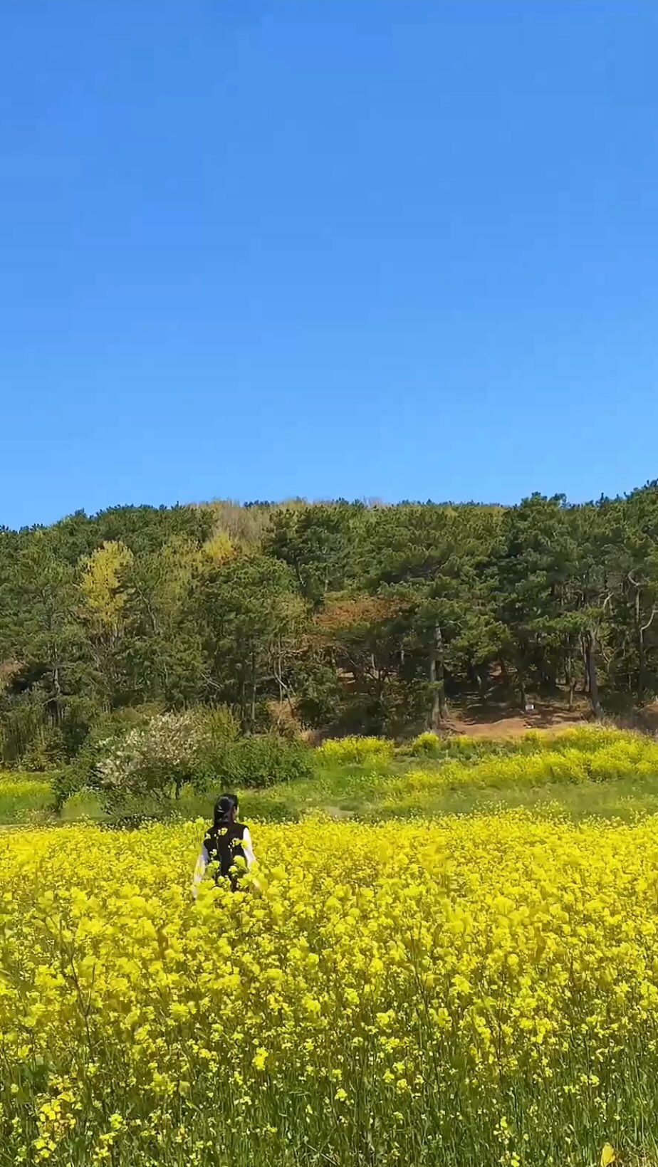 ⠀
⠀
벚꽃 진 섭섭한 마음 유채꽃으로 달래야지 🌼
⠀
⠀
제주도인가 착각한 슬도,
바다도 유채꽃도 등대도 너무 예뻐서 좋았고 반가웠어
⠀
⠀
⠀
(또 예쁜 곳 어디지👀)
⠀
⠀
⠀