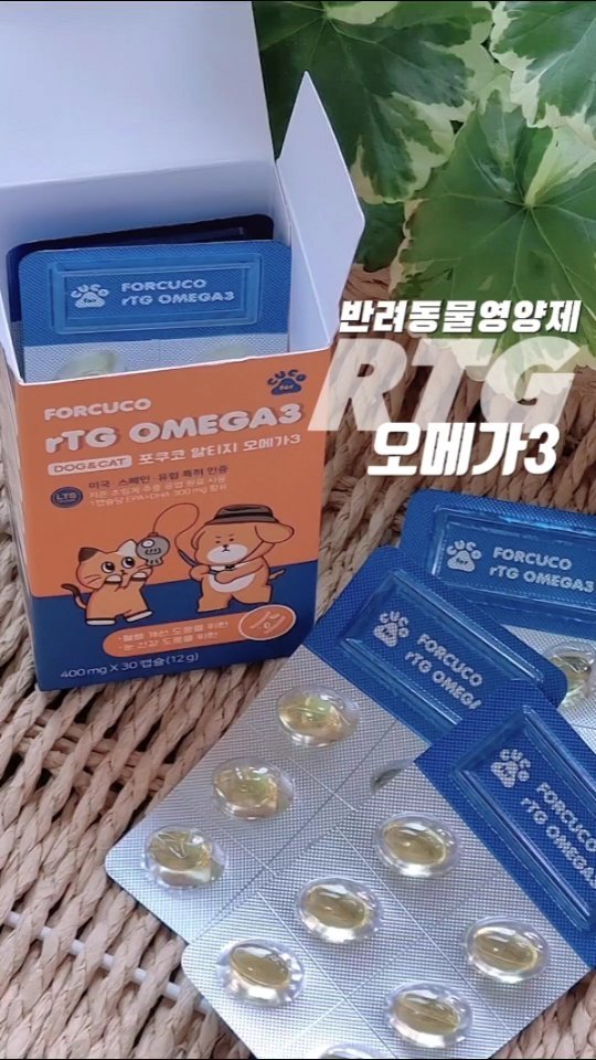 #광고 반려동물 면역 상승! 필수영양제 추천
.
.
.

안녕하세요 쥬맘이에요 ~

우리 반려묘 꼬뭉이 얼마전에
동물병원에 검진을 받으러갔는데

벌써 10살이 되었더라구요

이제 나이가 있어서
예전처럼 날라 다니지않고
잠만 자는 모습을 보면

우리 묘르신 건강이 무척이나 걱정되었어요

반려견 반려묘 10살이면
면역럭 저하로 신장질환, 소화계질환
그리고 피부질환 등등 각종 질병이 
찾아오기 시작하는데

✅️이럴때 필수로 챙겨야하는
반려동물 전용 영양제 #포쿠코rtg오메가3
를 좋은기회로 제공받아 급여 해보았어요

대략 1주일 좀 안되게 먹이고있는 중인데
확실히 급여 한 뒤로 꼬뭉이가 엄청 활발해진거 있죠?

반려동물 영양제 광고도 많고
저도 아무거나 먹이기 두려워서
제공 받기 전에 성분도 꼼꼼히 살펴 보았는데요

✅️합성첨가물은 일절 들어있지않고
순수원물로만 만들어진데다
3세대 rTG기술로 체내흡수율이 높아서 그런지
하루 ,이틀만 먹여도 활력이 다르더라는요 👍 

✅️사료만으로는 다 채우기 어려운
우리 반려동물 영양은 #포쿠코영양제 
#rtg오메가3 하루1알로 마음이 든든해졌어요♡

지금 3팩(3개월분)구매시 +1팩 더 증정하는
이벤트 진행중이라고 하니 관심있으신
인님들 구경 가보셔요 👀 ♡♡♡
.
.
.

▪︎제품제공감사합니다@for_cuco

🐈네이버🔎포쿠코 오메가 3 검색
🐶반려견,🐱반려묘 모두 급여가능
3️⃣➕️1️⃣ 이벤트 진행중

#포쿠코 #강아지영양제
#고양이영양제 #반려동물영양제
#강아지오메가3 #고양이오메가3 
#반려묘건강관리 #반려견건강관리 
#강아지건강습관 #포쿠코가지켜줄개