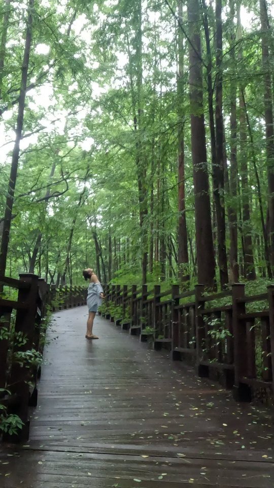 비온 뒤(잠시 소강) 녹음
go for a walk down a well-shaded street with trees
