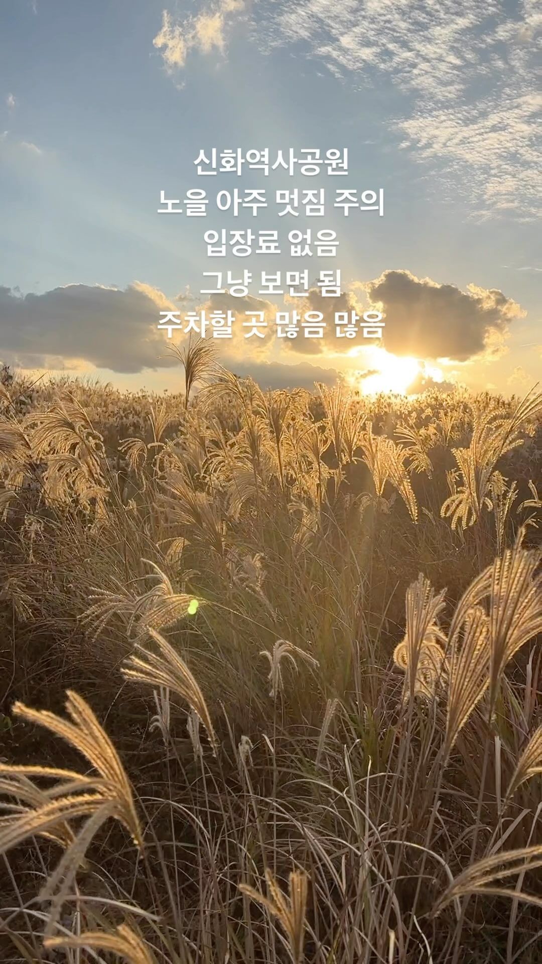 제주도 #신화역사공원 
그냥 무료 입장료 없음
시간맞춰 가면 멋진풍경이 눈앞에 딱! 

위치: 신화월드 마인드휘트니스 길건너편 도로옆 

영상을 남겨도 좋고, 사진을 남겨도 좋은곳! 

제주여행 계획이라면 저장하고 다녀와보세요.
바로옆 신화테마파크는 입장료 없이 들어갈수 있어요~! 
안에 놀이기구 말고 놀이터 있음 (놀이터 무료무료)

#제주여행 #서귀포여행 #제주노을 #jejutravelstory 
#10월제주 #济州岛旅行 #济州岛