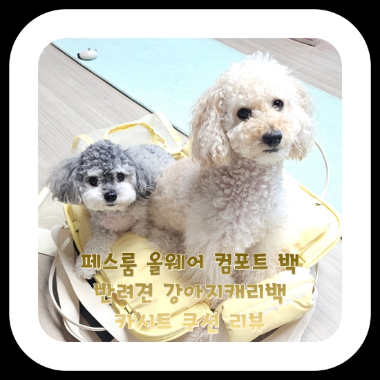[반려견] 페스룸 올웨어 컴포트 백 반려견 강아지캐리백 카시트 쿠션 리뷰