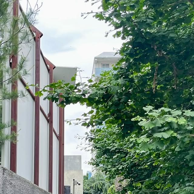 유수현 on Instagram: "와이드 데님 팬츠 첫도전 …!!! 
요런 스타일 입어보고 싶었는데 어때요? 🐾
빈티지 컬러감이랑 캣워싱이 넘 맘에 들어…"