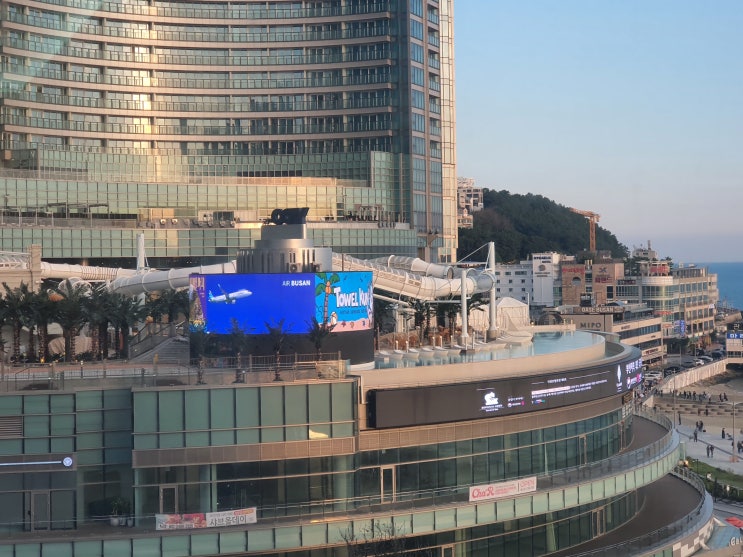 해운대 수영장 숙소 추천 가성비갑 클럽디 오아시스 숙박 팔레즈시즈