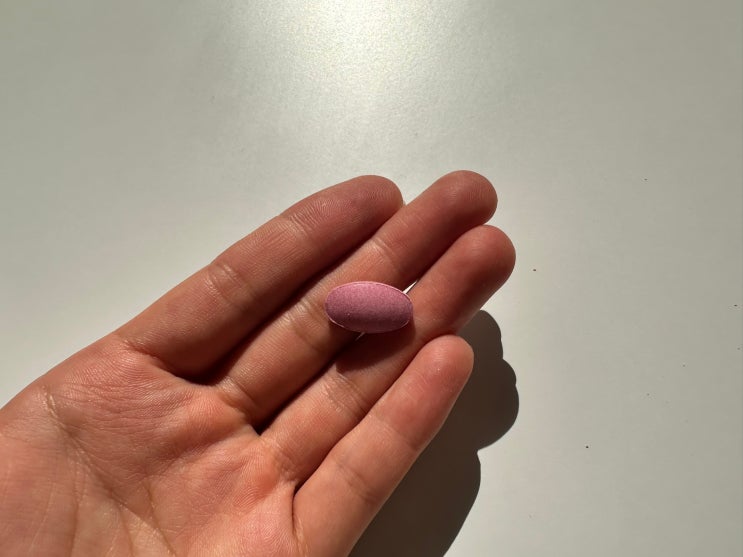 여름 체충 건강 관리템 ㅣ 뉴트리 러쉬 모로오렌지 C3G 락토페린 부작용 및 효능 효과