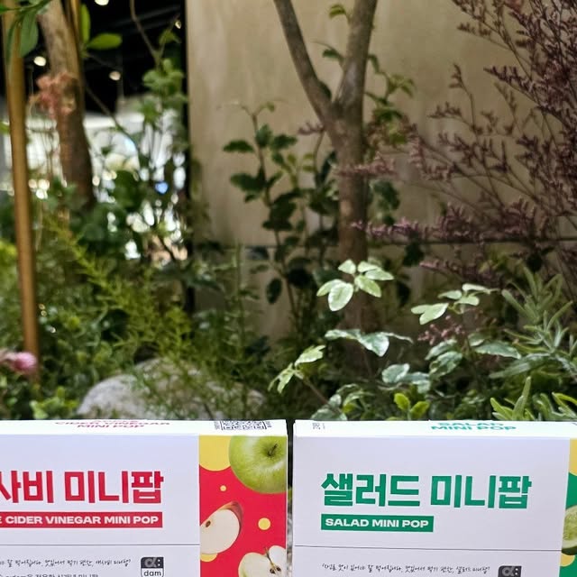 나타크롱 on Instagram: "#광고

여름 휴가를 위해 관리 중인데~
샐러드는 왜이리 안땡기는지~~
그래서 챙겨 먹기 시작한 

✅️고객관점 샐러드 미니팝과 애사비 미니팝

요게 뭐냐구요??
간편하게 들고 다니며 간식처럼 챙겨먹기 좋은 미니팝

새콤달콤하고 부드럽게 씹히는 느낌이라
입이 심심할때는 물론 간식처럼 먹기도 좋아서
샐러드 미니팝은 밥 먹기 전에 루틴 처럼 챙겨 먹고 
애사비 미니팝은 저녁에 다이어트간식처럼 챙겨 먹고 있어요~!

샐러드 미니팝, 애사비 미니팝 궁금하시죠??
자게한건
공식몰 고객관점.com에서 확인해 보세요~

@foryu.lab

#샐러드미니팝 #애사비미니팝 #고객관점 #포만루틴 #식전간식 #다이어트간식 #애플사이다비니거 #식전야채식사법 #식전습관 #새콤달콤 #식전루틴 #헬시라이프 #폭식방지 #식욕조절루틴 #루틴간식 #가벼운한입"