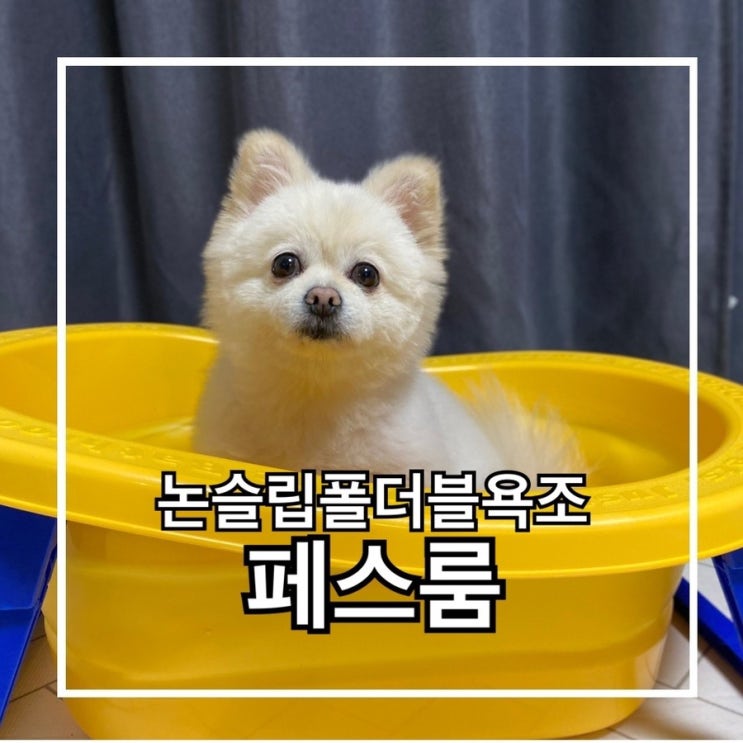 페스룸 논슬립폴더블욕조로 강아지목욕탕 만들기!