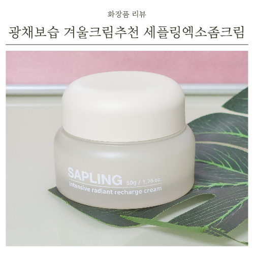 줄기세포 함유 겨울크림추천 세플링 엑소좀크림
