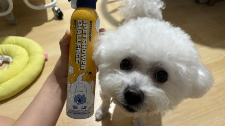 [페스룸] 펫 샤워 챌린지 샴푸 강아지 샴푸로 추천