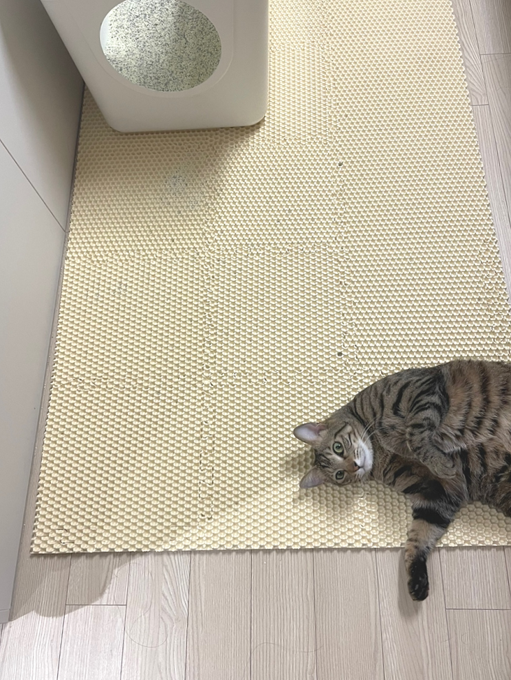 공간 맞춤 확장형 모래 매트 추천! [헨로포우 고양이 매트]