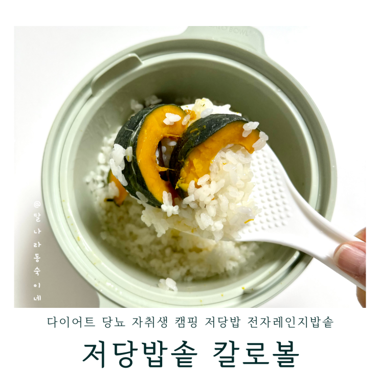 저당밥솥 전자레인지 칼로볼 전자레인지밥솥 집콕하는 고양이집사 다이어트 저당밥 사용후기