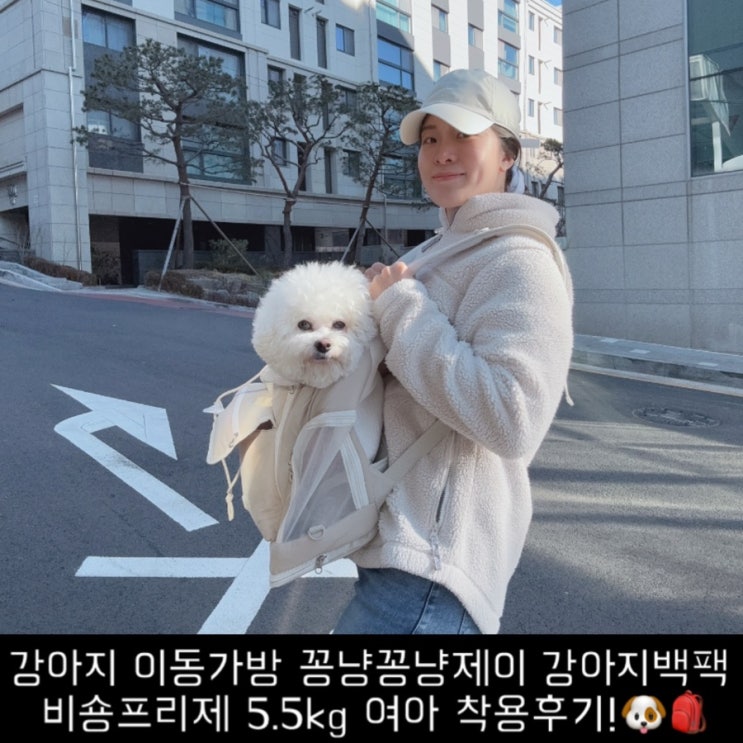 강아지 이동가방 꽁냥꽁냥제이 강아지백팩 비숑프리제 5.5kg 여아 착용후기!