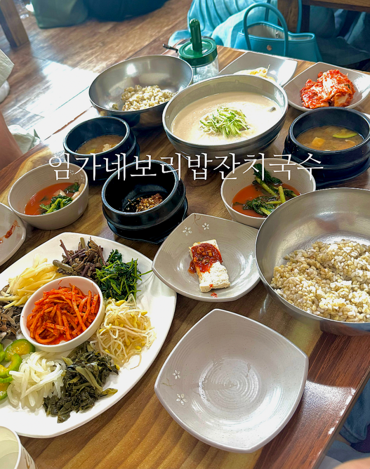 [안양] 정말 만족스러운 식사 삼막사 맛집 임가네보리밥잔치국수