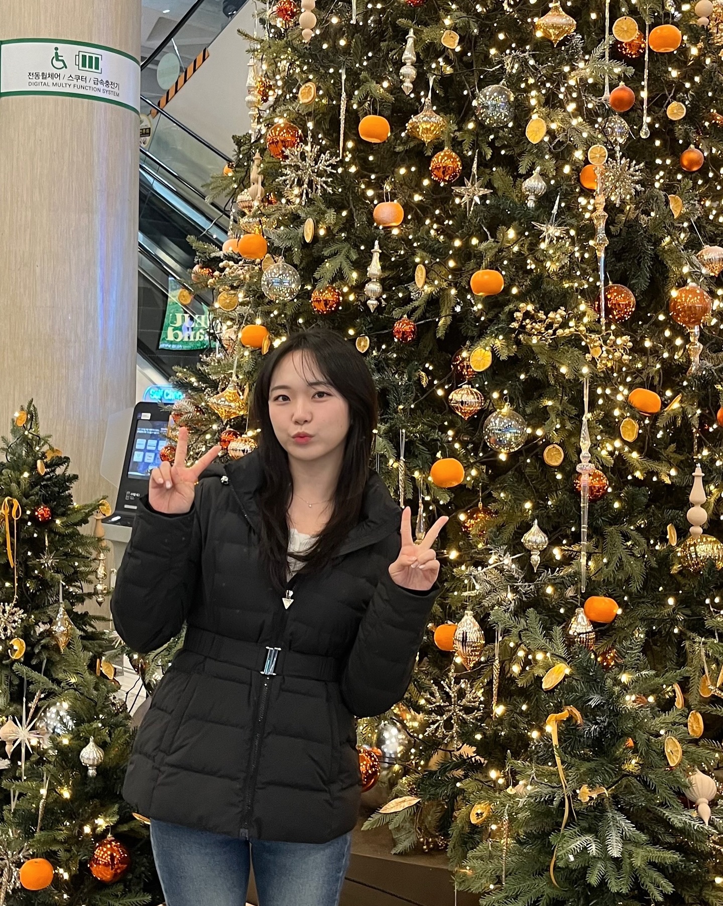 새해니까 힐링 데이 인 제쥬 🧡
🍊🎄🌱📚☕️