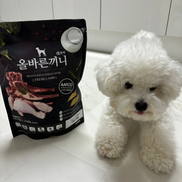 국개대표 올바른끼니 알파 양고기 보스웰리아 강아지 관절 사료