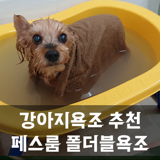 페스룸욕조 찐 사용후기 / 강아지접이식욕조, 반려동물욕조 추천