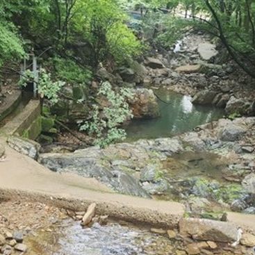 엠버홀릭 on Instagram: "#광고
#김룡사 근처 #운달계곡 여기 정말 좋은데요
가시기 전에 미리 #김용운달식당 예약하고 가시면
아이들은 물놀이 하고, 어른들은 백숙 먹고 일석이조!!

아이들 물놀이 하기 좋은 계곡 바로 옆에 있는데요
물소리 들으면서 앉아만 있어도 힐링이랍니다 💕

주차장도 넓고 아이들 놀 수 있는 공간도 좋은데
장소 자체가 워낙 시원한 곳이라 여름 더위 피하기 딱이죠
계곡물에 발만 담가도 더위가 싹! ㅋㅋ

특히 닭백숙은 진짜 닭이 너무 부드러워서
뼈가 쏙쏙 빠질 정도인데요
국물이 진하면서도 담백해서 몸보신 제대로 할 수 있답니다
거기다 죽까지 함께 먹으면 최고최고!
김치랑 같이 먹으니 둘이 먹다 하나 죽어도 모르겠네요 ㅋㅋ

닭도리탕도 참 맛있었는데 가슴살 부위도 야들야들할 정도였고,
적당한 매콤함이라 누구나 맛있게 드실 수 있어요!

거기다 여기 감자전이 정말 예술인데
일반 감자전과 달리 여기에서만 먹을 수 있는 바삭하고 고소한 맛!
다들 꼭 한 번 드셔보세요!

💡https://map.naver.com/p/entry/place/11594952
💡경북 문경시 산북면 김용길 305 / 054-552-6644
💡영업시간: 11:00 ~ 20:00 / 18:30 라스트오더

#맛집리뷰 #식당리뷰 #계곡백숙맛집 #김용리 #문경계곡맛집 운달계곡 #김용사 #문경계곡백숙 #문경백숙
문경계곡 #문경계곡맛집 #문경하늘펜션 #문경맛집 #문경가볼만한곳 #경북가볼만한곳 #문경여행 #문경여행코스 #문경새재 #문경계곡펜션 #경북문경"
