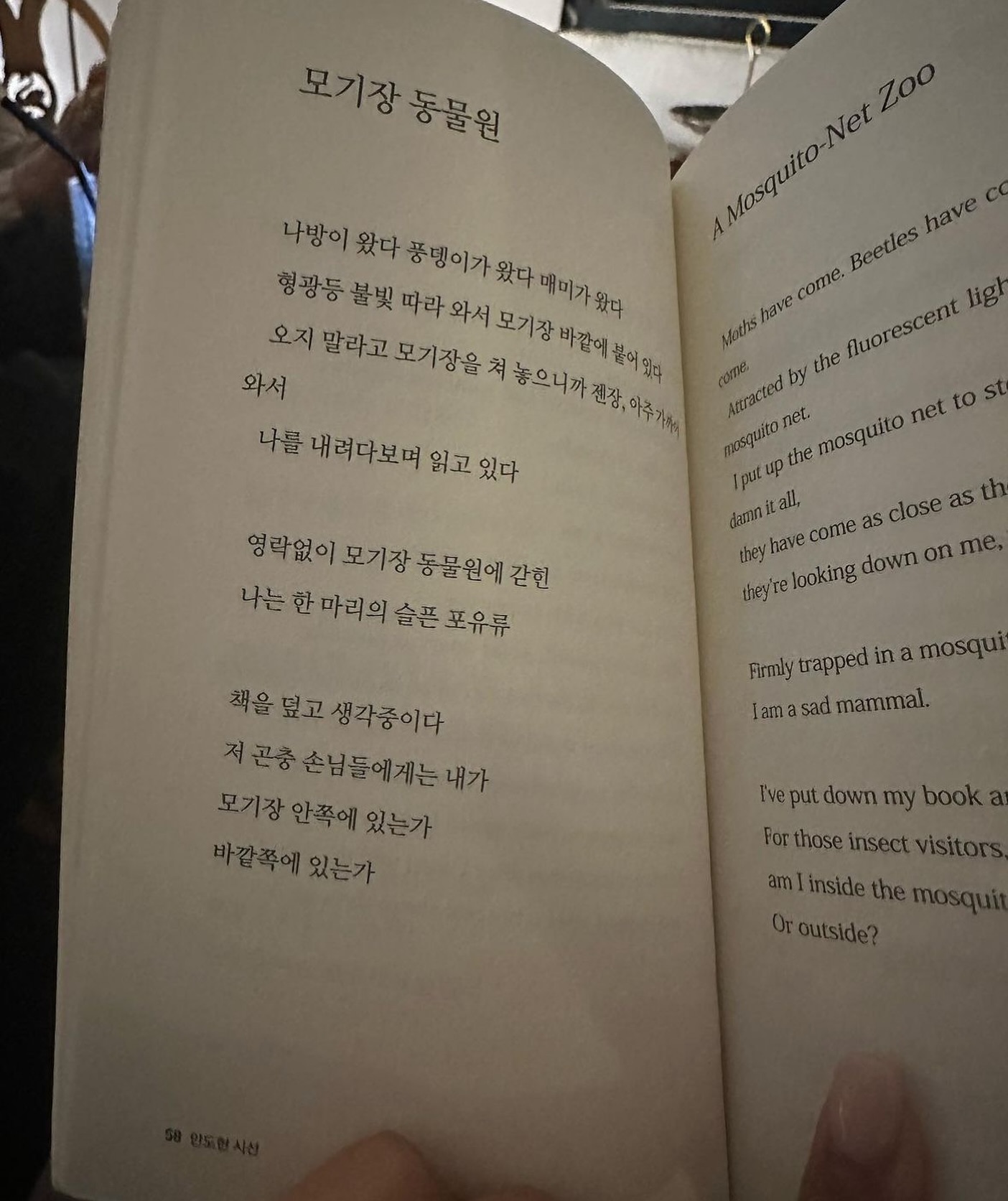 좋아하는 시 한편 🥠
#안도현