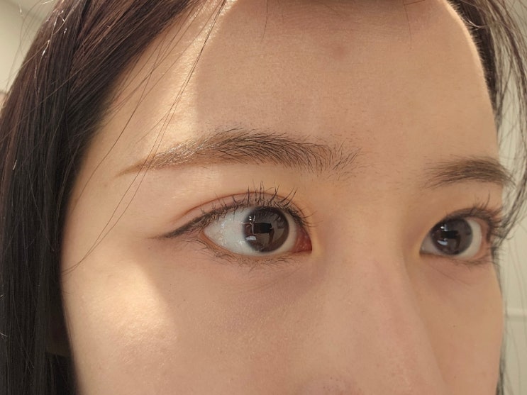 번지지않는 스웨트 스머지 워터프루프 마스카라 블랑디바