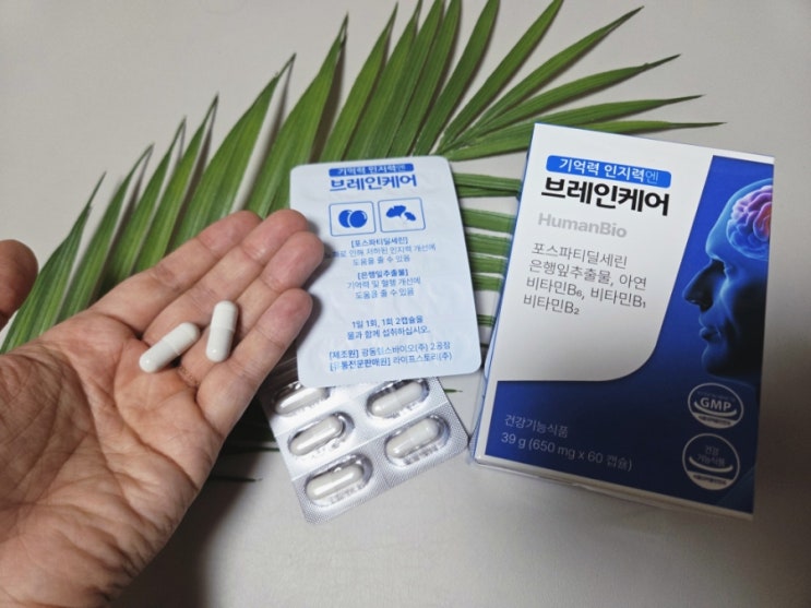 두뇌영양제 브레인케어 일주일 섭취해 보다