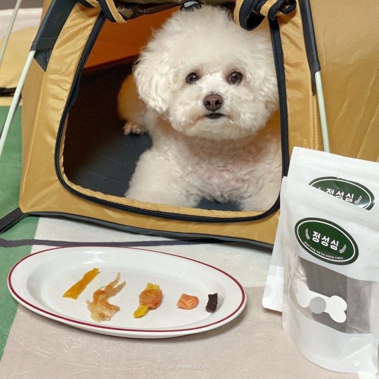 강아지가 너무 좋아하는 애견수제간식 쇼핑몰 정성심