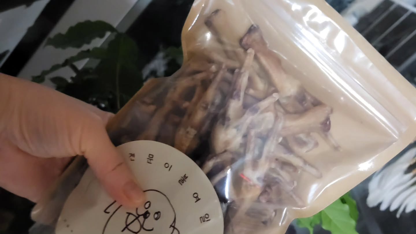 울 애기들 이젠 닭발까지 접수!!!

맛나게 먹는 모습에 내가 산당^^
구연것들!!!