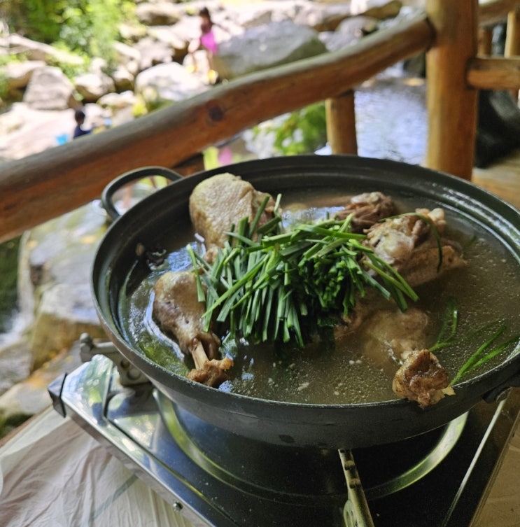 대구 근교 계곡 식당 오리 백숙 팔공산식당